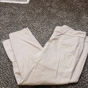 Ann Taylor Factory Cream Trousers